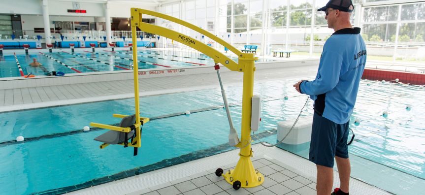 Pelican_Northern_Beaches_Council